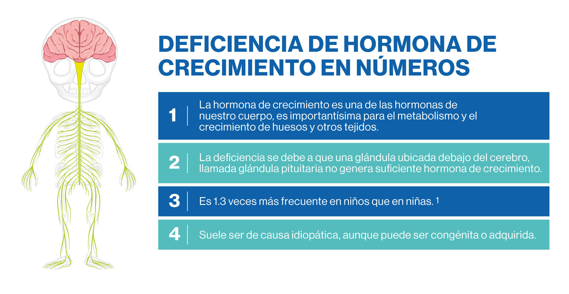 hormona