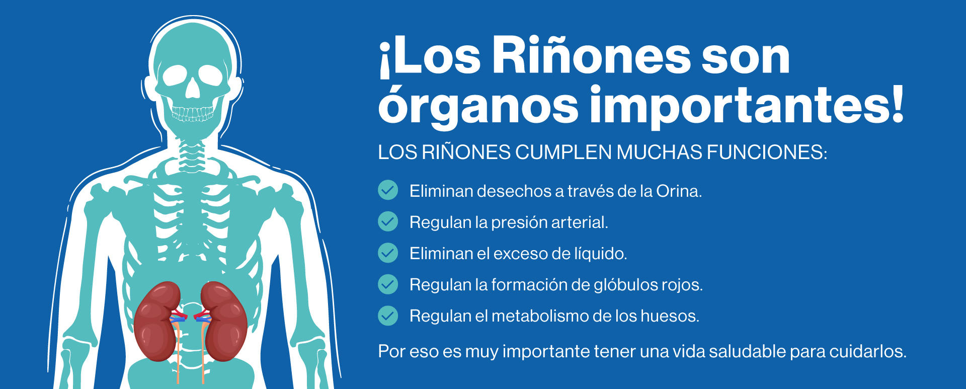 Trasplante de riñon