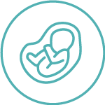 El comienzo de la menstruación antes de los 12 años y la menopausia después de los 55 años exponena las mujeres a hormonas (estrógenos) por más tiempo, aumentando el riesgo de cáncer de mama.4