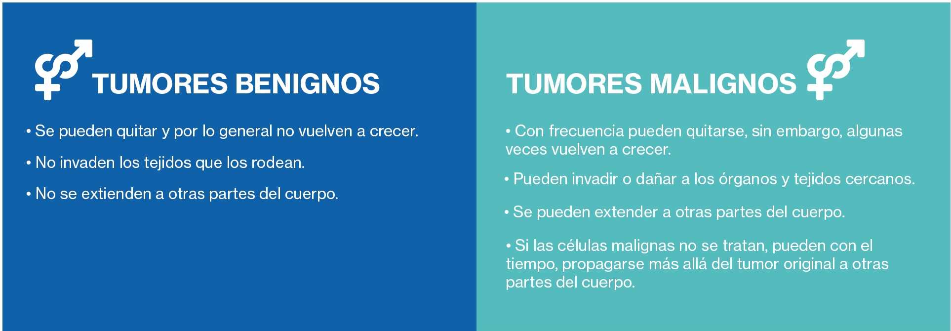 tipos