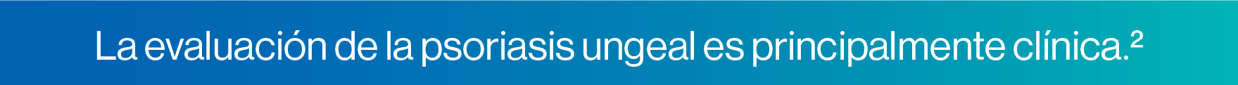 La evaluación de la psoriasis  ungeal es principalmente clínica.