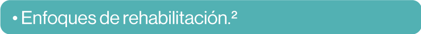 Enfoques de rehabilitación.2