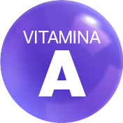 Alimentos fuentes en Vitamina A:Vegetales como batata, calabaza o zapallo, zanahoria, espinaca, brócoli melón, hígado  vacuno, pescados aceitosos (arenque, salmón, trucha, caballa)