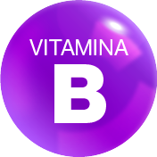 Alimentos fuentes en Vitamina B: