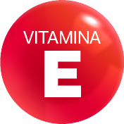 Alimentos fuentes en Vitamina E: Nueces, semillas, aceites vegetales, verduras de hojas verdes. 