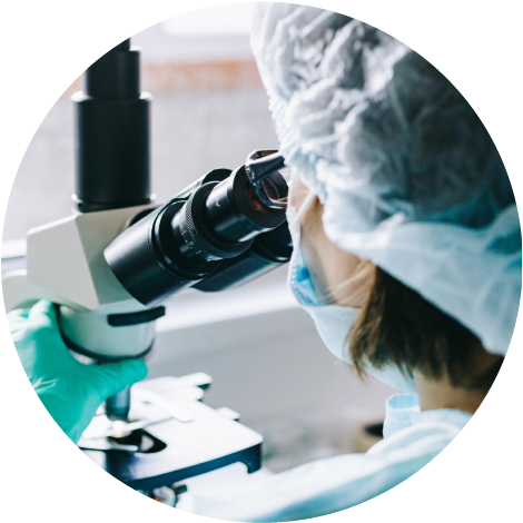 Imagen ilustrativa Biopsia