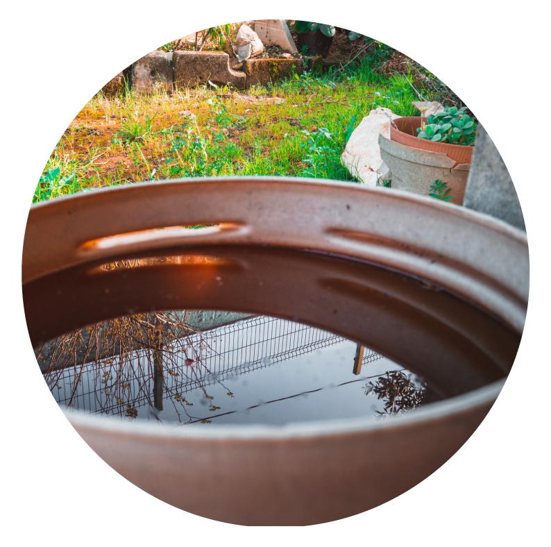 Imagen ilustrativa contenedor con agua