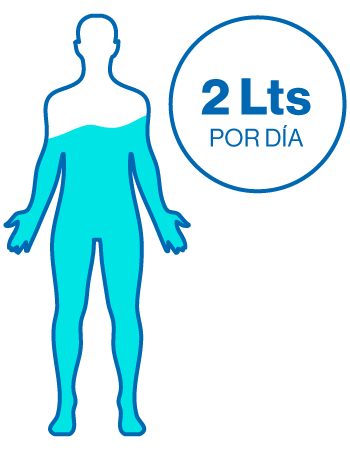 Ilustración cantidad de agua necesaria por día