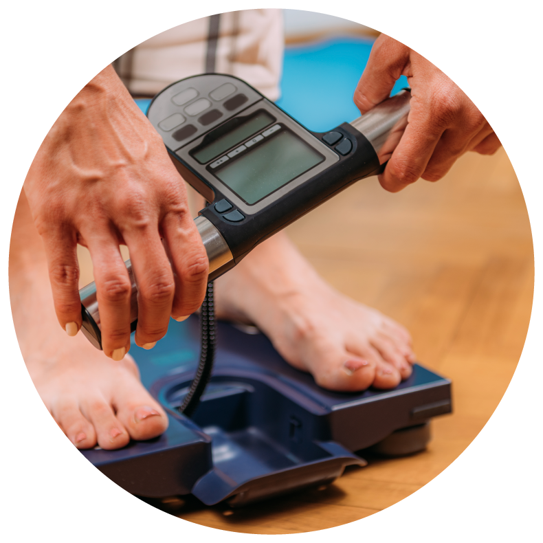 Imagen ilustrativa sobre Obesidad