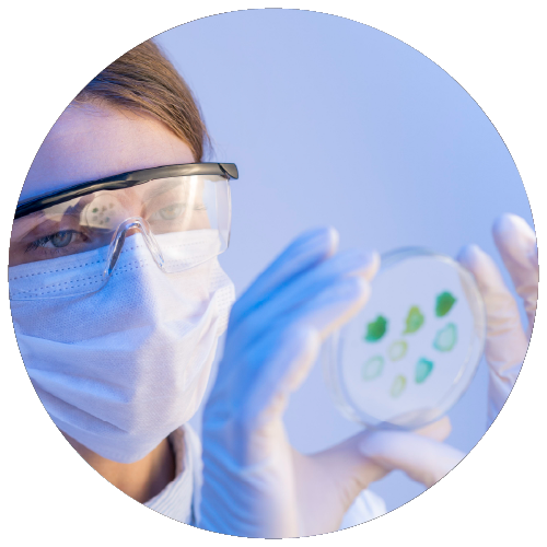 Imagen ilustrativa sobre factores medioambientales